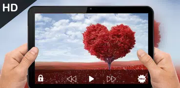 Lettore multimediale e lettore video