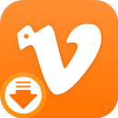 Video Downloader APK