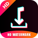 SnapTik - Tiktok Downloader APK