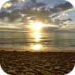 Beach Live Wallpaper