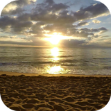 Beach Live Wallpaper icône