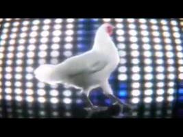 رقص الدجاجة بدون نت capture d'écran 2