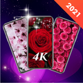 Live Wallpapers - 3D 4D HD Background Wallpaper 4K