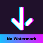 Download No Watermark Video icône