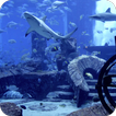 Acuario Live Wallpaper