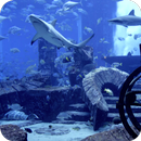 Aquarium Video Live Wallpaper APK