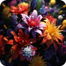 Flores de florescência APK