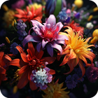 آیکون‌ Blooming Flower Live Wallpaper