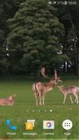 Deers Video Live Wallpaper Ekran Görüntüsü 3