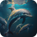 APK Dolphins Video Live Wallpaper