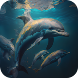 Dolphins Video Live Wallpaper icône