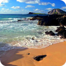 Relax Video Live Wallpaper APK