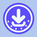 Video Downloader