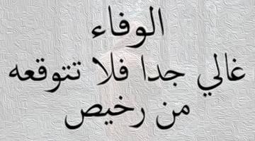 اقوال جميلة عن الحياة gönderen