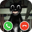 Video Call from Scary Cat