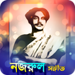 জনপ্রিয় নজরুল সংগীত | Nazrul Sangeet