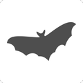 BATVISION