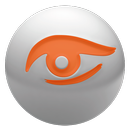 REMOTE VIDEO ALARM APK