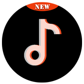 Android 用の Tiktok Video Downloader Apk をダウンロード