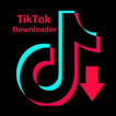 ”Video Downloader for TikTok