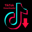 Video Downloader for TikTok