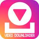 Téléchargeur de vidéo pour TikTokInstagramFacebook APK