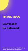 Video Downloader for TikTok -  पोस्टर