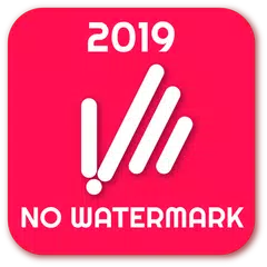 Video downloader pro for tik tok without watermark