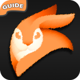 Tips Video Leap; Editor Enlight Guide