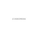 Videomedia