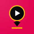 VideoSaverMaster