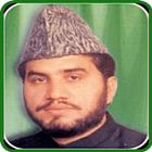 Qari Syed Sadaqat Ali 图标