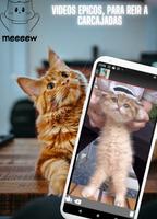 Videos de gatos graciosos 截圖 1