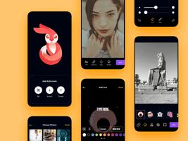 Vidleap screenshot 1
