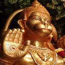 Telugu Hanuman Chalisa APK