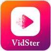 Vidster - Lyrical Video Status Maker