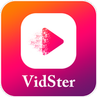 Vidster আইকন