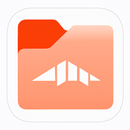 VidX Files APK