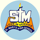 STM icon