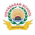 Vidyasagar School Indore
