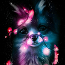 Animal Wallpapers HD 4K APK