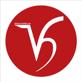 Vietbuy icon