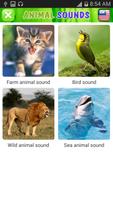 Real animal sound for kids ポスター