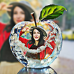 PIP photo editor