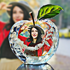 PIP photo editor 图标