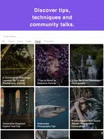 VIEWBUG ảnh chụp màn hình 7