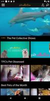 The Pet Collective screenshot 1