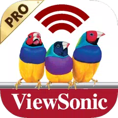 ViewSonic vPresenter Pro