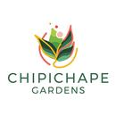 Chipichape Gardens APK