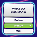 Trivia Spin